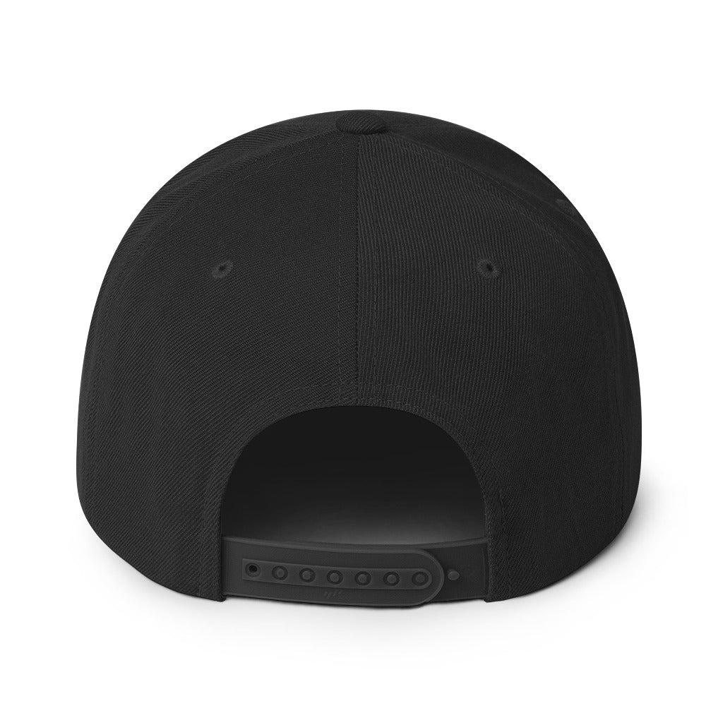 VH2 Hog Snapback