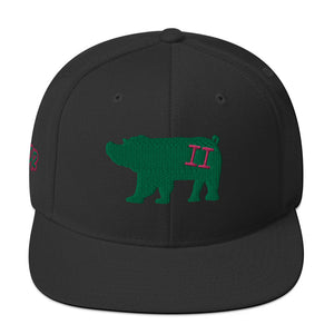 VH2 Hog Snapback