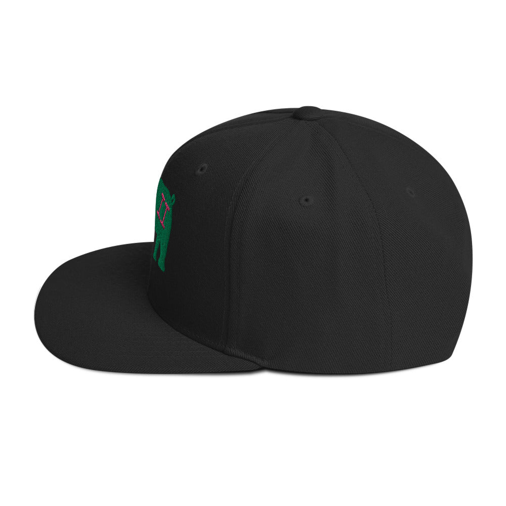 VH2 Hog Snapback