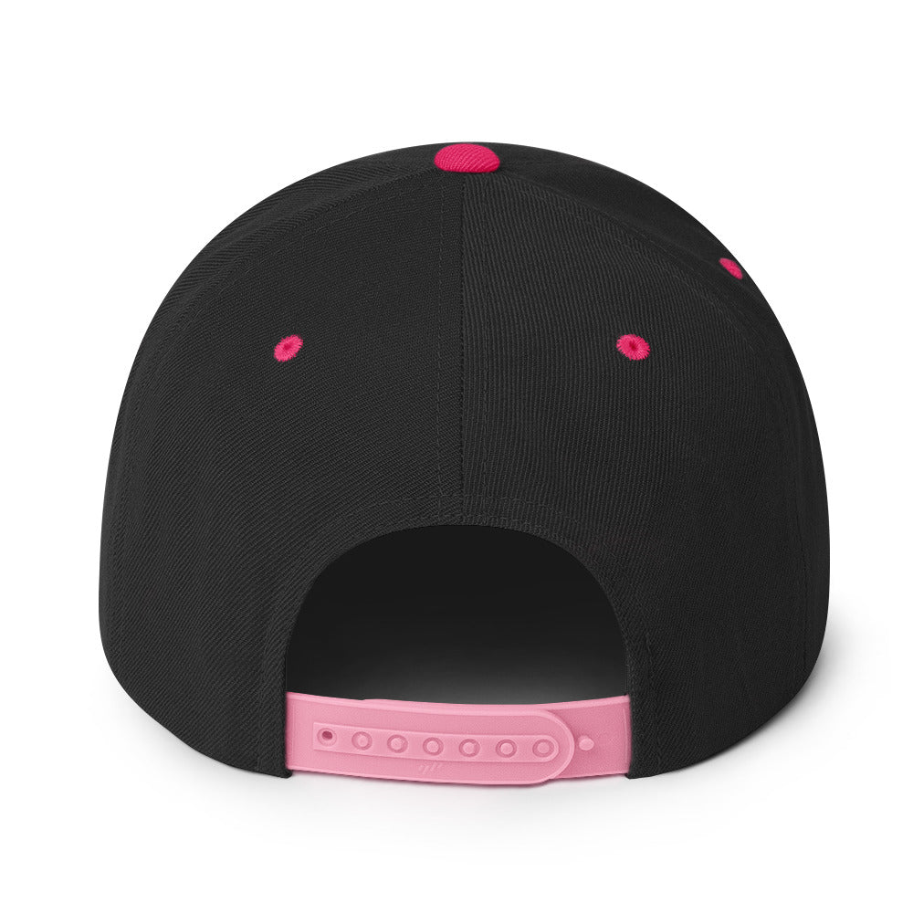 VH2 Hog Snapback