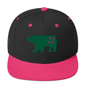 VH2 Hog Snapback