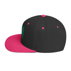 VH2 Hog Snapback