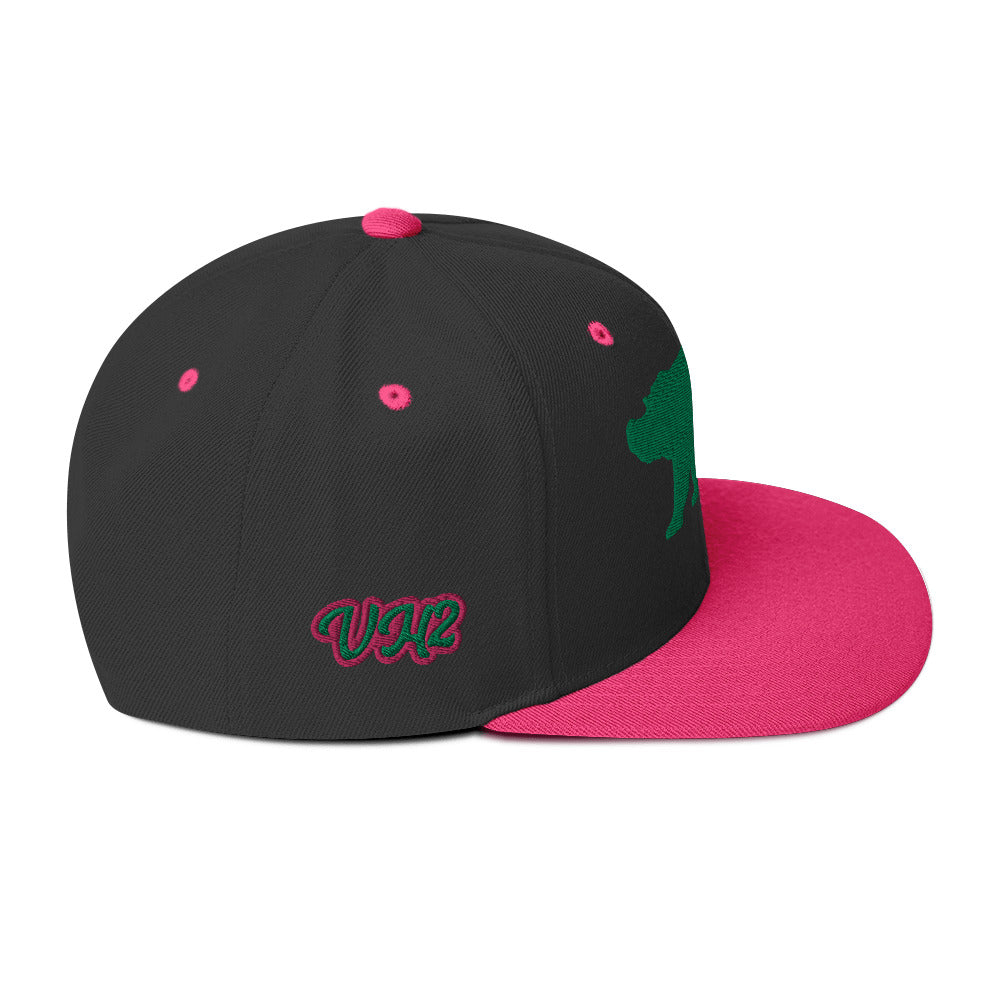 VH2 Hog Snapback